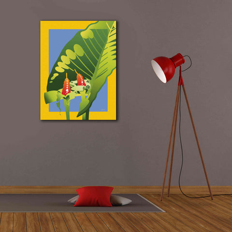 Image of 'Alocasia' by David Chestnutt, Giclee Canvas Wall Art,26 x 34