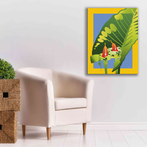 Image of 'Alocasia' by David Chestnutt, Giclee Canvas Wall Art,26 x 34