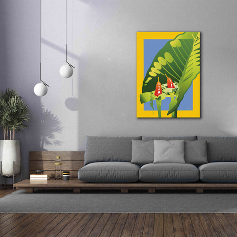 Image of 'Alocasia' by David Chestnutt, Giclee Canvas Wall Art,40 x 54