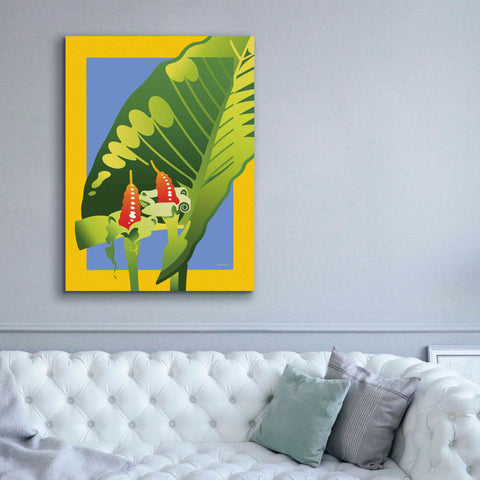 Image of 'Alocasia' by David Chestnutt, Giclee Canvas Wall Art,40 x 54