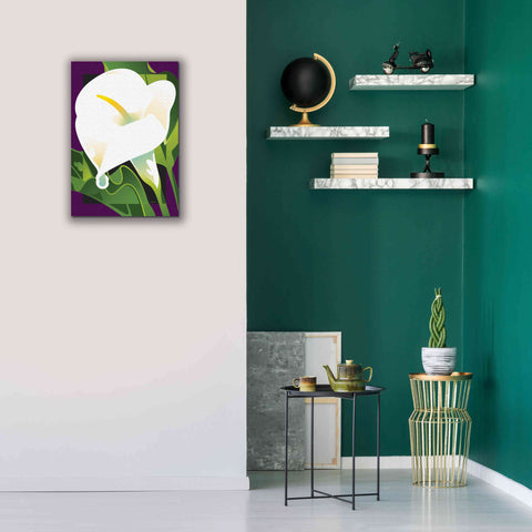Image of 'Calla Lily' by David Chestnutt, Giclee Canvas Wall Art,18 x 26