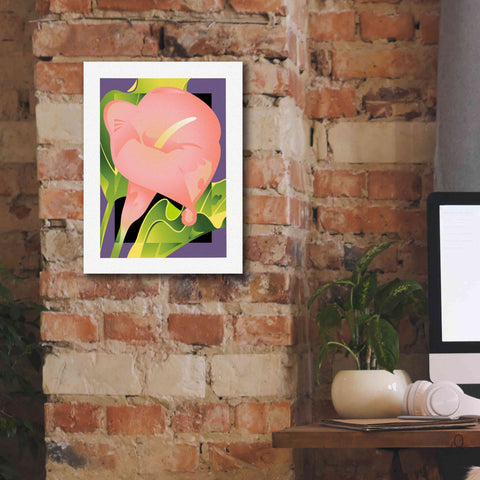 Image of 'Calla Pink' by David Chestnutt, Giclee Canvas Wall Art,12 x 16
