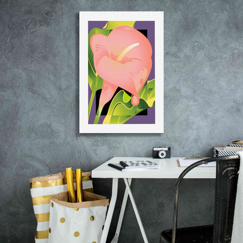 Image of 'Calla Pink' by David Chestnutt, Giclee Canvas Wall Art,18 x 26