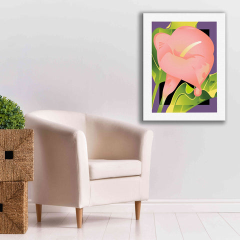 Image of 'Calla Pink' by David Chestnutt, Giclee Canvas Wall Art,26 x 34