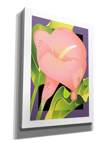 Image of 'Calla Pink' by David Chestnutt, Giclee Canvas Wall Art
