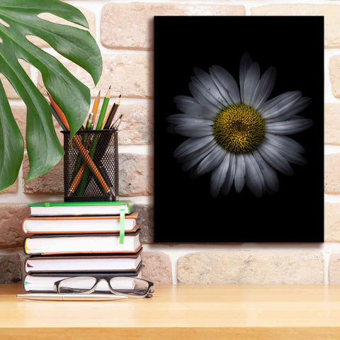 Image of 'Backyard Flowers 13 Color Version' by Brian Carson, Giclee Canvas Wall Art,12 x 16