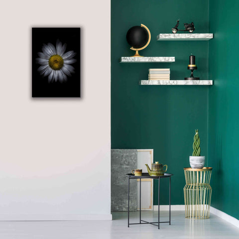 Image of 'Backyard Flowers 13 Color Version' by Brian Carson, Giclee Canvas Wall Art,18 x 26