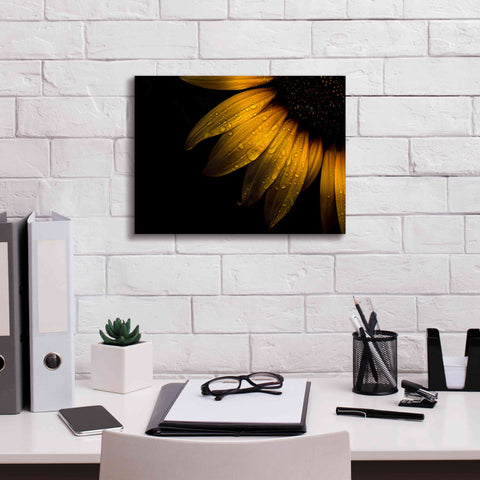 Image of 'Backyard Flowers 28 Sunflower' by Brian Carson, Giclee Canvas Wall Art,16 x 12