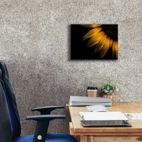 Image of 'Backyard Flowers 28 Sunflower' by Brian Carson, Giclee Canvas Wall Art,16 x 12