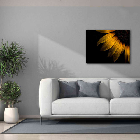 Image of 'Backyard Flowers 28 Sunflower' by Brian Carson, Giclee Canvas Wall Art,34 x 26