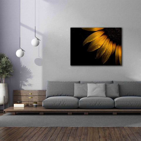 Image of 'Backyard Flowers 28 Sunflower' by Brian Carson, Giclee Canvas Wall Art,54 x 40