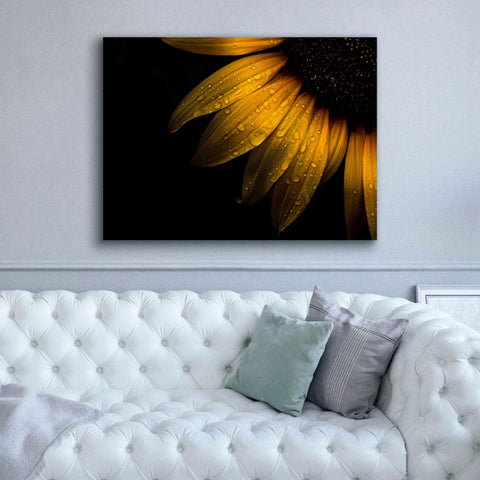 Image of 'Backyard Flowers 28 Sunflower' by Brian Carson, Giclee Canvas Wall Art,54 x 40