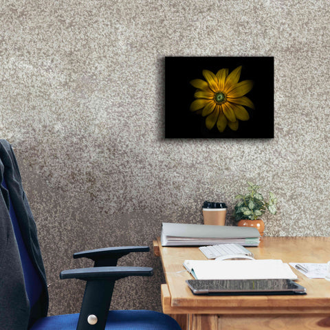 Image of 'Backyard Flowers 34 Color Version' by Brian Carson, Giclee Canvas Wall Art,16 x 12