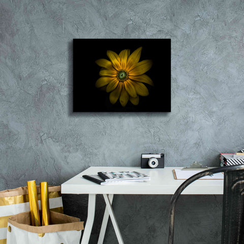 Image of 'Backyard Flowers 34 Color Version' by Brian Carson, Giclee Canvas Wall Art,16 x 12