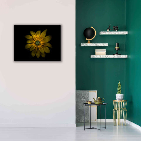 Image of 'Backyard Flowers 34 Color Version' by Brian Carson, Giclee Canvas Wall Art,34 x 26