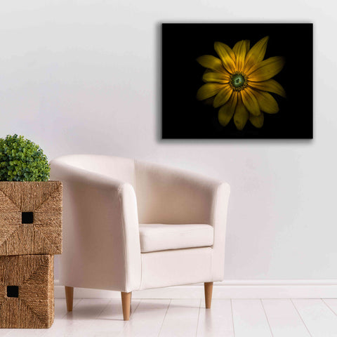 Image of 'Backyard Flowers 34 Color Version' by Brian Carson, Giclee Canvas Wall Art,34 x 26