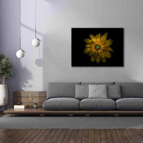 Image of 'Backyard Flowers 34 Color Version' by Brian Carson, Giclee Canvas Wall Art,54 x 40
