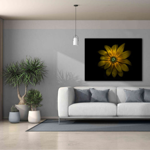 Image of 'Backyard Flowers 34 Color Version' by Brian Carson, Giclee Canvas Wall Art,54 x 40