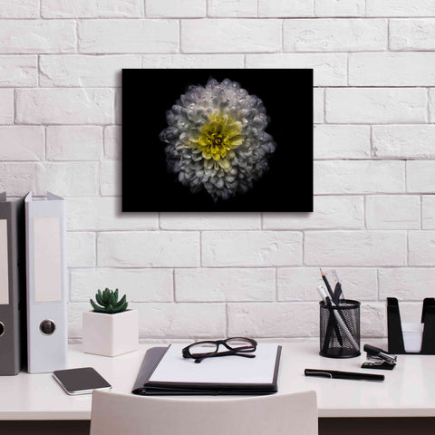 Image of 'Backyard Flowers 46 Color Version' by Brian Carson, Giclee Canvas Wall Art,16 x 12