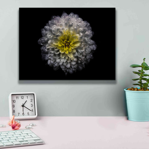 Image of 'Backyard Flowers 46 Color Version' by Brian Carson, Giclee Canvas Wall Art,16 x 12