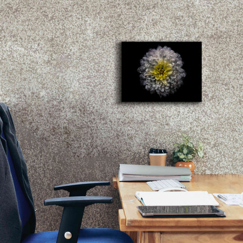 Image of 'Backyard Flowers 46 Color Version' by Brian Carson, Giclee Canvas Wall Art,16 x 12