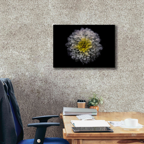 Image of 'Backyard Flowers 46 Color Version' by Brian Carson, Giclee Canvas Wall Art,26 x 18