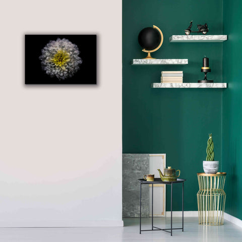 Image of 'Backyard Flowers 46 Color Version' by Brian Carson, Giclee Canvas Wall Art,26 x 18