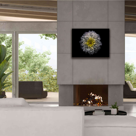 Image of 'Backyard Flowers 46 Color Version' by Brian Carson, Giclee Canvas Wall Art,34 x 26