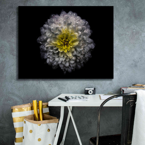 Image of 'Backyard Flowers 46 Color Version' by Brian Carson, Giclee Canvas Wall Art,34 x 26