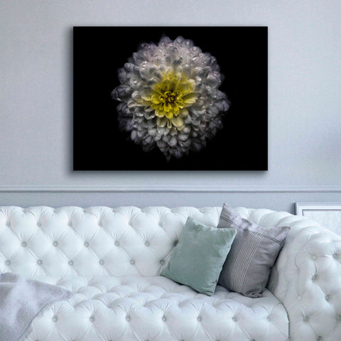 Image of 'Backyard Flowers 46 Color Version' by Brian Carson, Giclee Canvas Wall Art,54 x 40