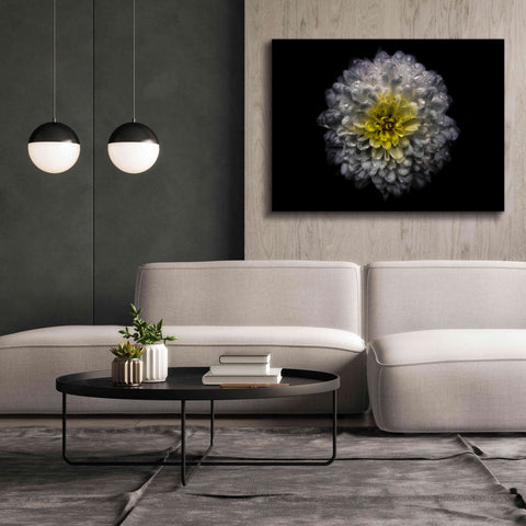 Image of 'Backyard Flowers 46 Color Version' by Brian Carson, Giclee Canvas Wall Art,54 x 40