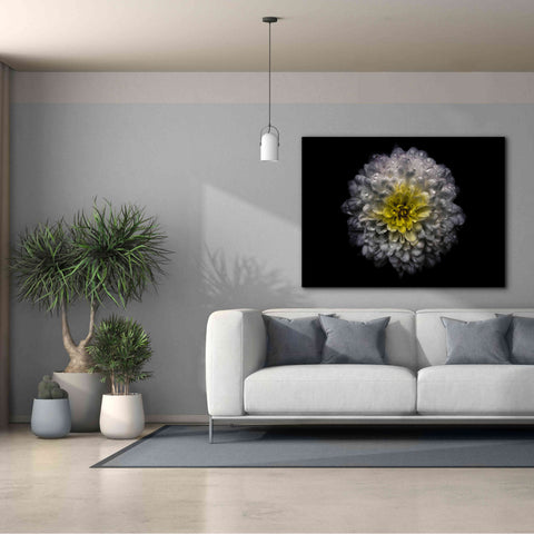 Image of 'Backyard Flowers 46 Color Version' by Brian Carson, Giclee Canvas Wall Art,54 x 40
