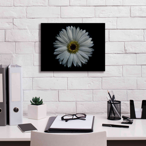 Image of 'Backyard Flowers 71 Color Version' by Brian Carson, Giclee Canvas Wall Art,16 x 12