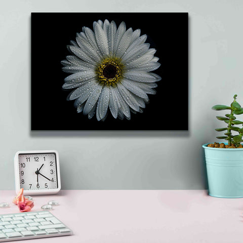 Image of 'Backyard Flowers 71 Color Version' by Brian Carson, Giclee Canvas Wall Art,16 x 12