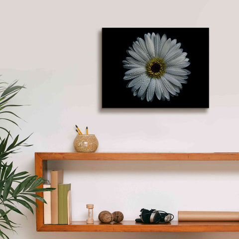 Image of 'Backyard Flowers 71 Color Version' by Brian Carson, Giclee Canvas Wall Art,16 x 12
