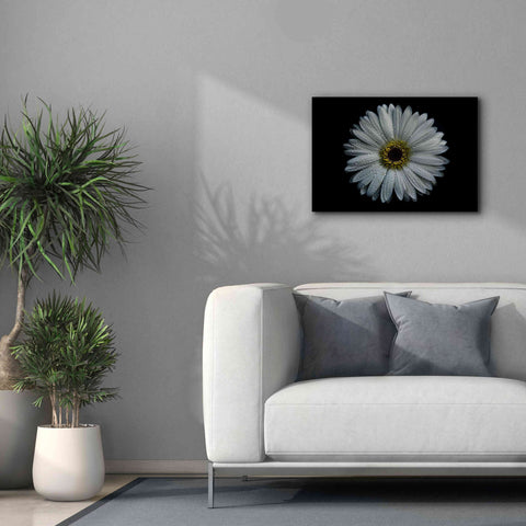 Image of 'Backyard Flowers 71 Color Version' by Brian Carson, Giclee Canvas Wall Art,26 x 18