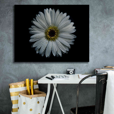 Image of 'Backyard Flowers 71 Color Version' by Brian Carson, Giclee Canvas Wall Art,34 x 26