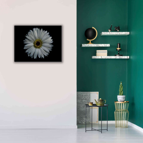 Image of 'Backyard Flowers 71 Color Version' by Brian Carson, Giclee Canvas Wall Art,34 x 26
