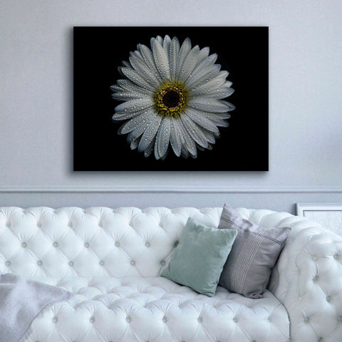 Image of 'Backyard Flowers 71 Color Version' by Brian Carson, Giclee Canvas Wall Art,54 x 40