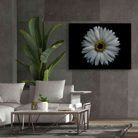 Image of 'Backyard Flowers 71 Color Version' by Brian Carson, Giclee Canvas Wall Art,54 x 40