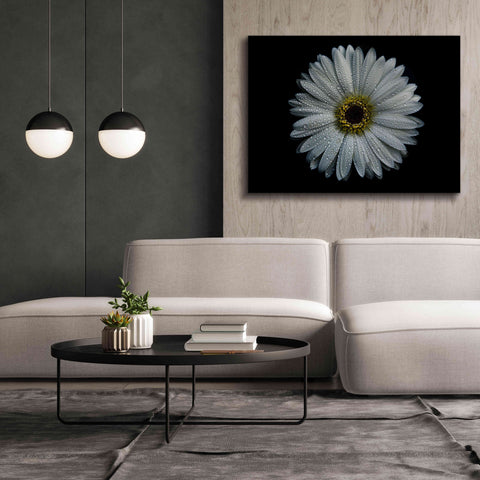 Image of 'Backyard Flowers 71 Color Version' by Brian Carson, Giclee Canvas Wall Art,54 x 40