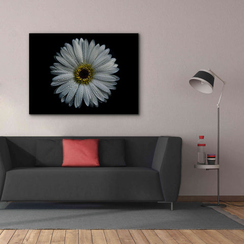 Image of 'Backyard Flowers 71 Color Version' by Brian Carson, Giclee Canvas Wall Art,54 x 40