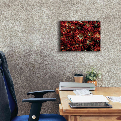 Image of 'Backyard Flowers 88 Color Version' by Brian Carson, Giclee Canvas Wall Art,16 x 12