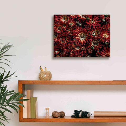 Image of 'Backyard Flowers 88 Color Version' by Brian Carson, Giclee Canvas Wall Art,16 x 12