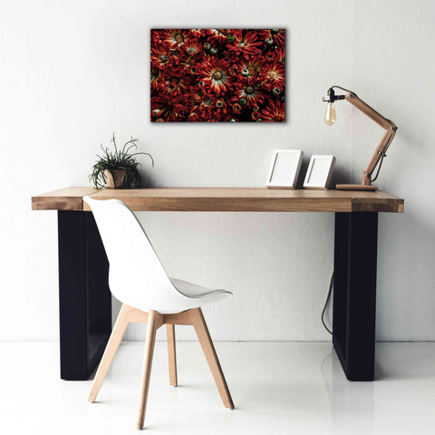 Image of 'Backyard Flowers 88 Color Version' by Brian Carson, Giclee Canvas Wall Art,26 x 18