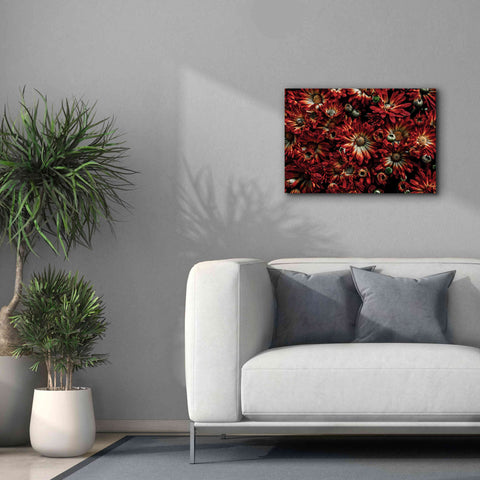 Image of 'Backyard Flowers 88 Color Version' by Brian Carson, Giclee Canvas Wall Art,26 x 18