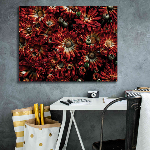 Image of 'Backyard Flowers 88 Color Version' by Brian Carson, Giclee Canvas Wall Art,34 x 26