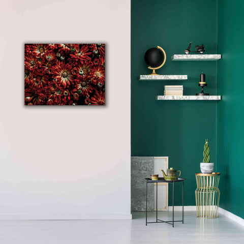 Image of 'Backyard Flowers 88 Color Version' by Brian Carson, Giclee Canvas Wall Art,34 x 26