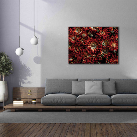 Image of 'Backyard Flowers 88 Color Version' by Brian Carson, Giclee Canvas Wall Art,54 x 40