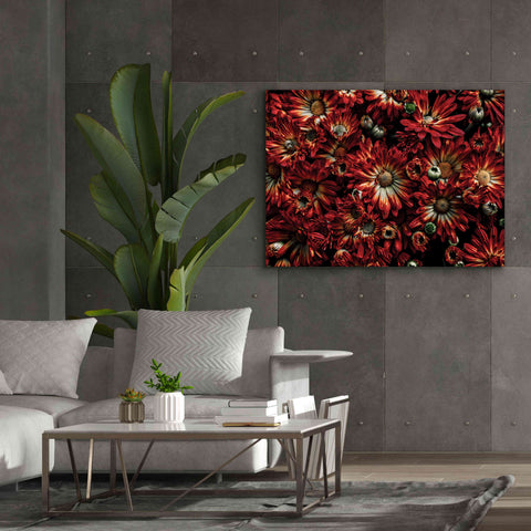 Image of 'Backyard Flowers 88 Color Version' by Brian Carson, Giclee Canvas Wall Art,54 x 40